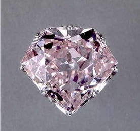Hortensia Pink Diamond